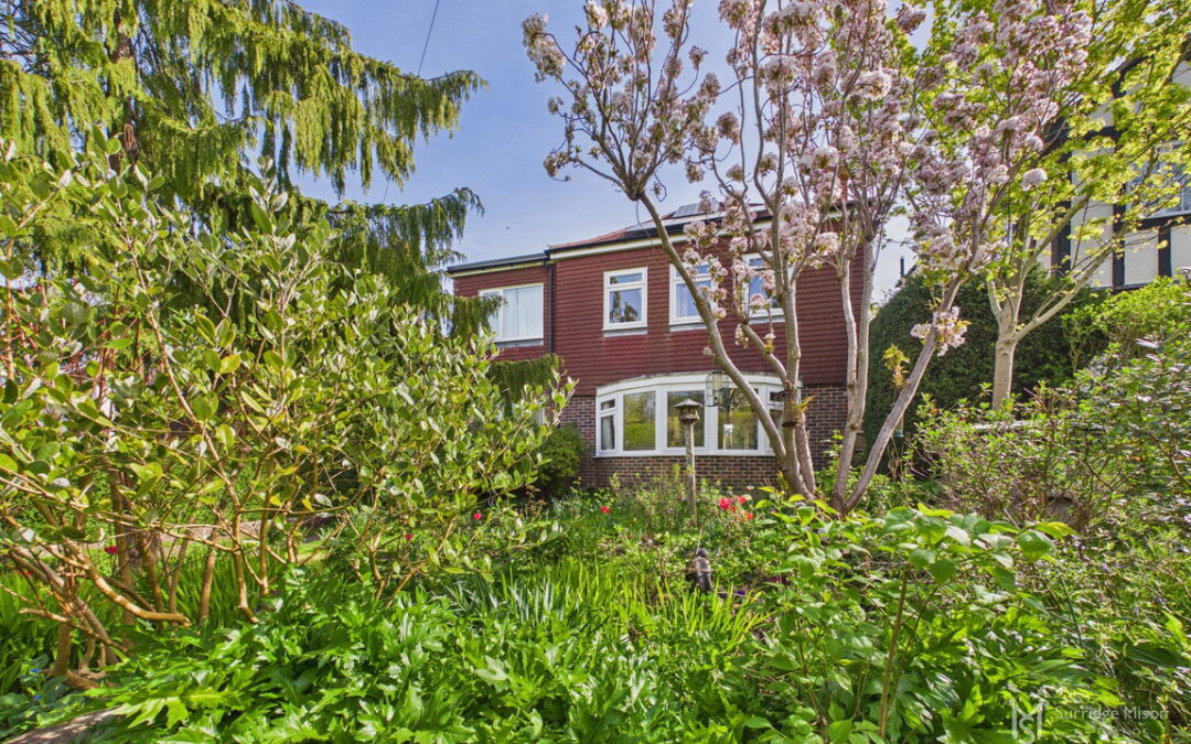 Coopers Hill, Willingdon Village, East Sussex, BN20